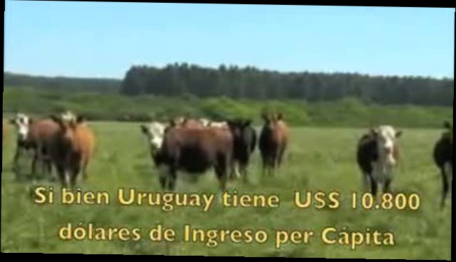 Уругвай. Самое экологически чистое место на планете. 