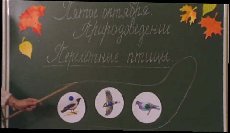 Наша Russia: Снежана Денисовна - Самолёт для птиц 
