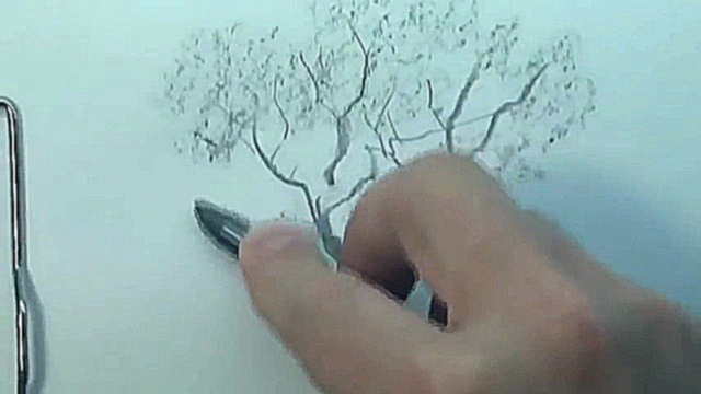Как научиться рисовать дерево карандашом