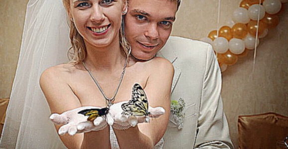 Живые бабочки для подарка на свадьбу, http://babochki.kiev.ua  