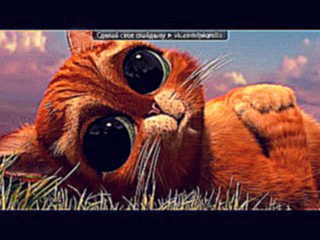 «кошки и коты» под музыку Песня про Серёжу и его кошек - Выучи наизусть и спой коту)) !!!. Picrolla 
