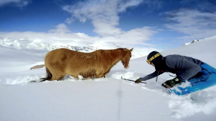 Сноубордисты помогли лошади выбраться из сугроба 