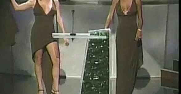 Марая Кери и Уитни Хьюстон пришли в одинаковых платьях на МТВ 
