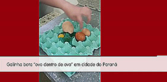 Ovo dentro de outro ovo chama atenção no Paraná 