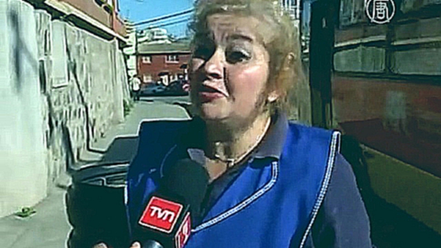 Лиса переполошила квартал в чилийском городе 