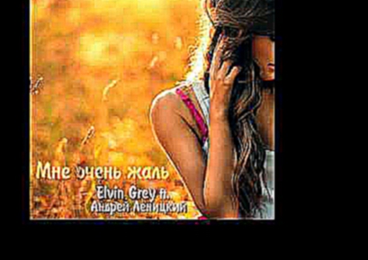Андрей Леницкий ft. Elvin Grey -- Мне очень жаль (2014) 