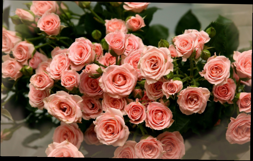 красивыми букетами роз!