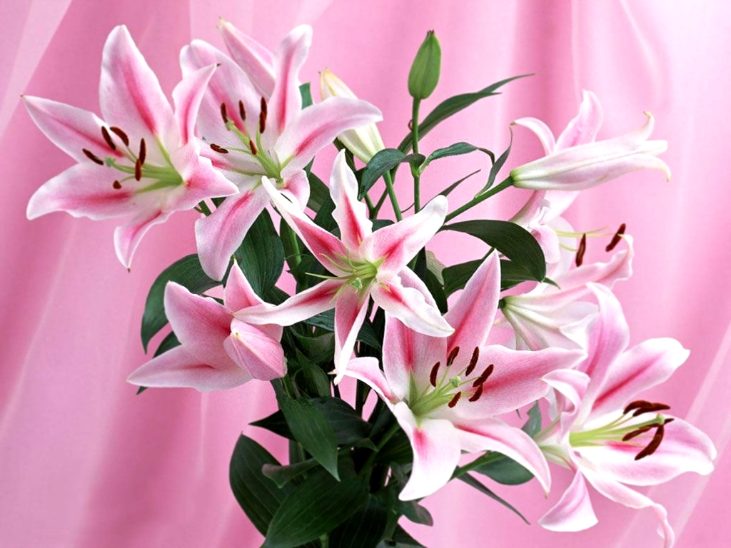 Букет из лилий Букет, цветы FLOWER (4) 