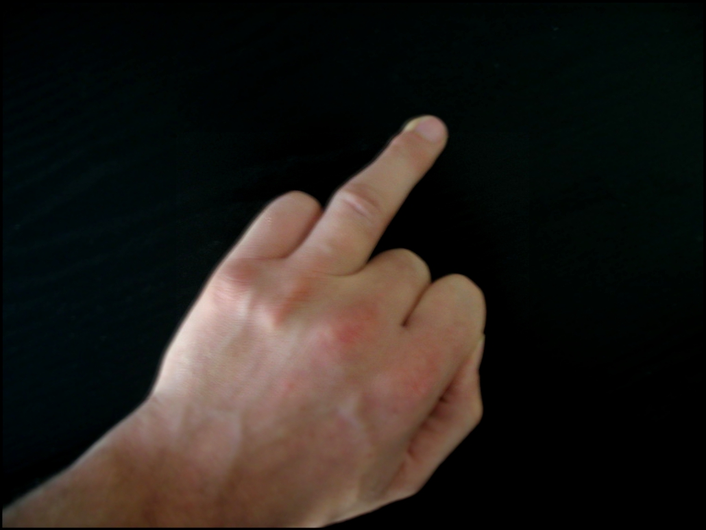 Безымянный палец anularius