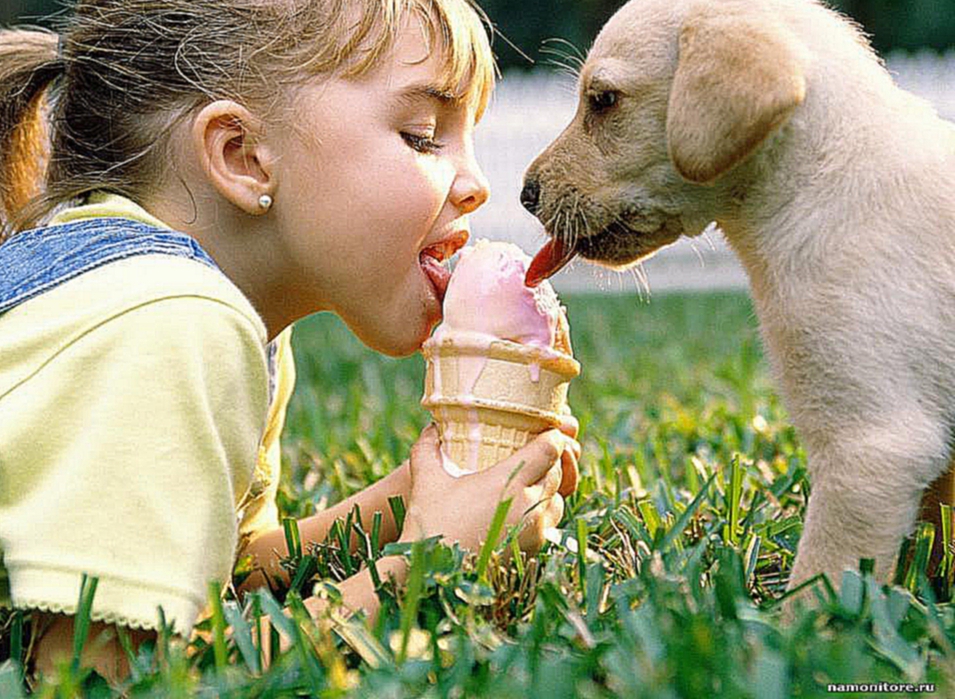 Девочка, щенок и мороженое, дети, животные