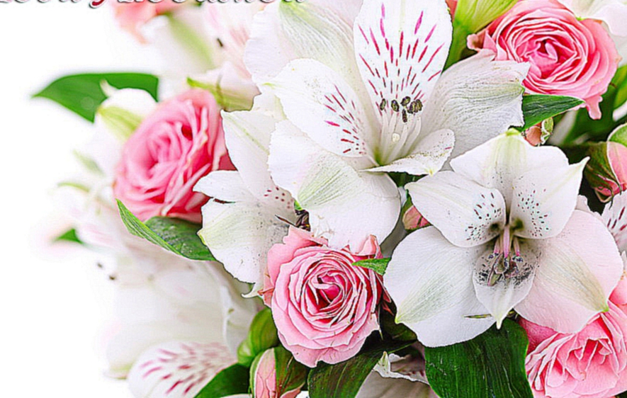 Открытки цветы орхидеи 6 Красивые белые цветы